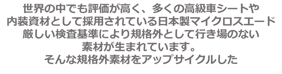 totown /TRUNK（トートバッグXL）